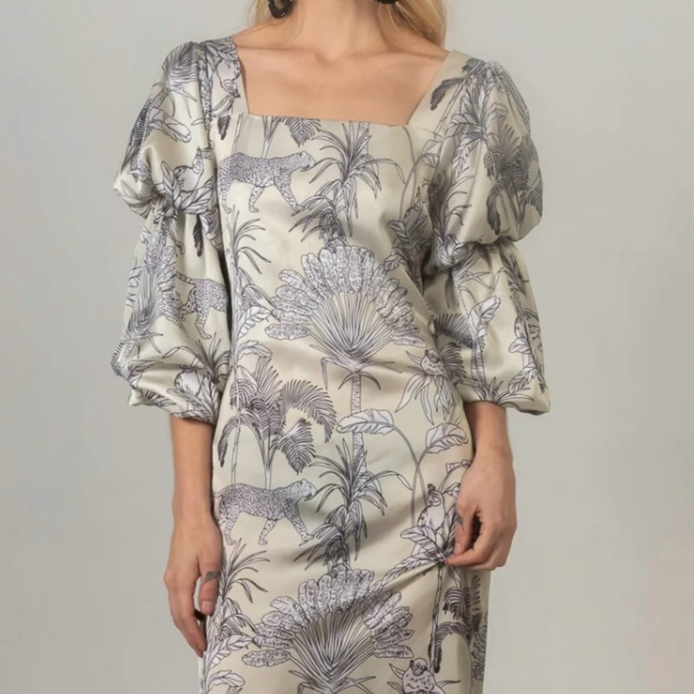 Brand New w Tags Small Lobo Rosa Arse Dress in Batti Long dress big sleeves